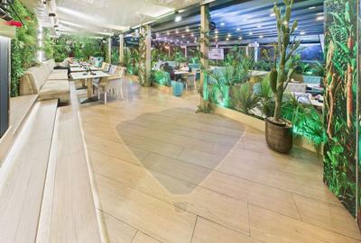 Boulevard Caffe Di David-preluare afacere functionala - Bd Gh.Sincai - 5
