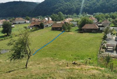 Casă cu 2 camere în Negreni - 4