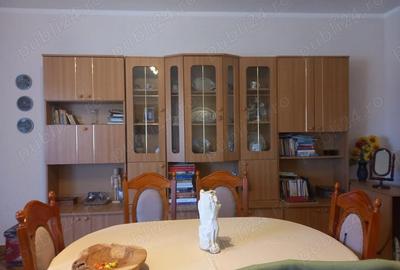 Casă cu 2 camere cu Teren 2000 Mp în Sânmartinu Sârbesc - 4