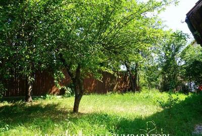 ANL- MORILOR, TEREN 635 MP - 22