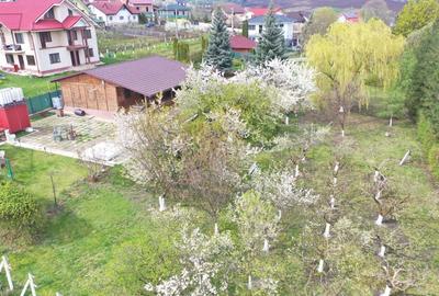 Spațiu comercial, în Central - 5