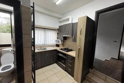 Vila S+P+1+Pod mansardat Albert Roua - 1