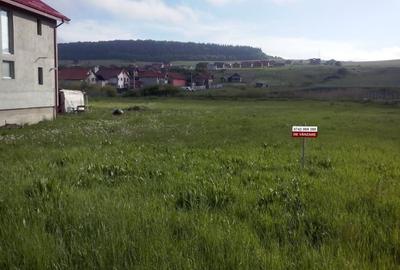 Teren intravilan Chinteni