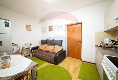 Vand/ schimb casa , 2 apartamente , curte si gradina. Teren 500 mp. - 9