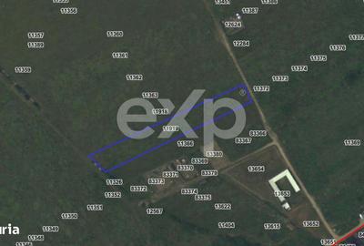 Teren de 4266 mp, în Albota