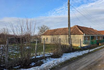 Casă în Măgești - 6