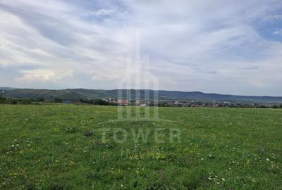 Teren agricol extravilan de 1500 mp, în Orlat - 6