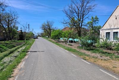 Casă individuală cu 4 camere cu Teren 2676 Mp în Vălcani - 3