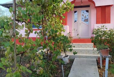 Casă cu Teren 3000 Mp în Bucșani - 5