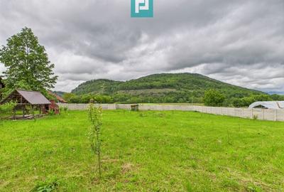 Casă individuală cu 3 camere cu Teren 2914 Mp în Gurahonț - 20