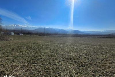 Teren de 2800 mp, în Turnu Roșu - 15