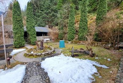 Casă individuală cu 10 camere cu Teren 1500 Mp în Valea Ierii - 13