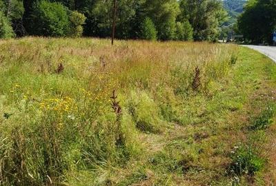 TEREN INTRAVILAN ÎN MARGA-LA DN68 JUD.CARAȘ-SEVERIN - 6