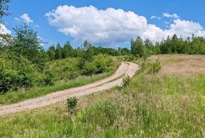 2,2 HA TEREN EXTRAVILAN FANEATA, Muntii Apuseni, Ciucea - Cluj, la 5 km de E60 - 11