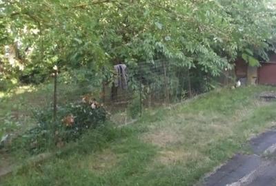 Casă cu 3 camere cu Teren 2523 Mp în Josani