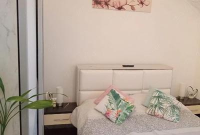 Apartament cu 2 camere semidecomandat în Turnișor - 1