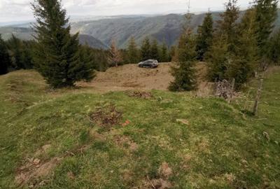 Teren 15841 mp,pret 8 /mp Muntele Rece com. Maguri Racatau - 1