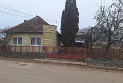 Casă cu 3 camere în Beica de Jos - 4