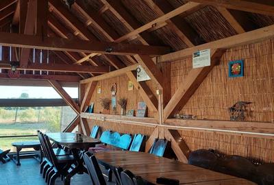 Casa de vacanta superba in Delta Dunarii - 3