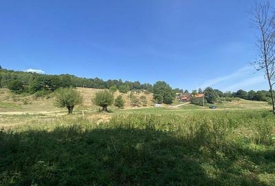 Teren extravilan de vanzare in Rasnov | 6.070 mp | Vedere panoramica - 10