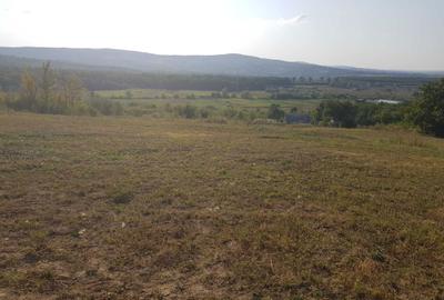 Teren de 6000 mp, în Curături - 3