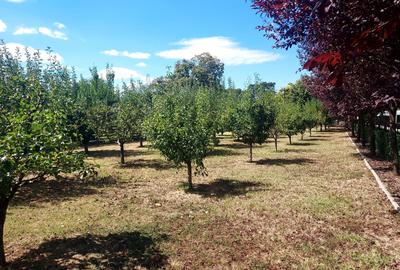 CLUB SNAGOV-VILA SUPERBA, TOTAL PRIVACY,FINISAJE LUX,CURTE 2000  MP,565000 EURO - 3