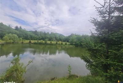 Spațiu comercial, în Cheile Râșnoavei - 3