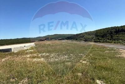 Teren de 3322 mp, în Paltin - 4