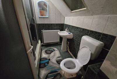 Casa P+M, Suprafata utila 220 mp, Teren 1.150 mp, Ștefanesti - 11