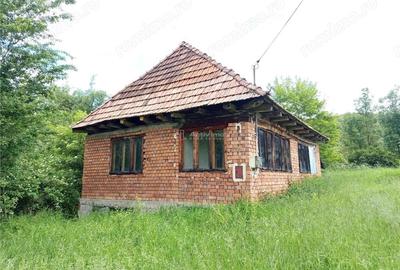 Teren de 16000 mp, în Borlovenii Noi - 2