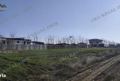 Teren de 500 mp, în Berceni