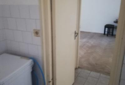 Tomis nord  - filicori - 4