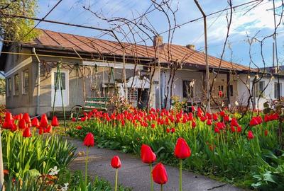 Casă individuală cu 5 camere cu Canalizare în Central - 1