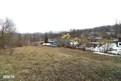 Spațiu comercial, în Provița de Sus - 3