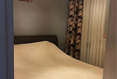 Apartament 2 camere Delfinului Iancului - 9