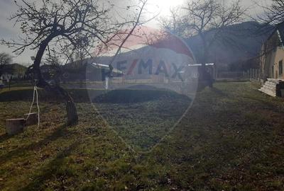 Teren de 1050 mp, în Tohănița - 4