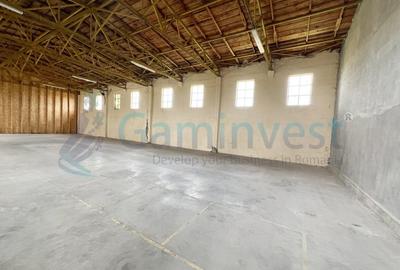 Spațiu industrial, de 288 mp, în Oșorhei - 4