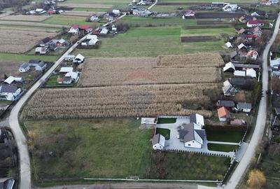 Casa de vanzare in Com Fratautii Noi - 13