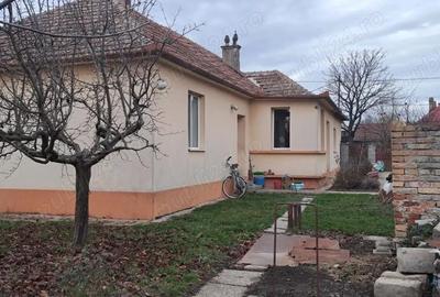 Casă cu 5 camere cu Teren 1200 Mp în Giarmata - 8