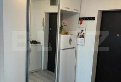 Investitie! Apartament 2 camere Tineretului - 9