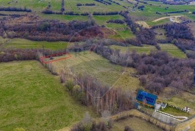 Teren Construcții intravilan de 480 mp, în Tohănița - 4