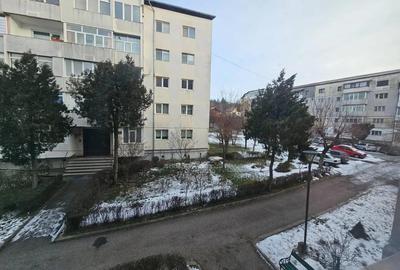 Apartament cu 3 camere de inchiriat in Curtea de Arge?. - 8
