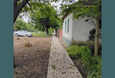 Casă cu 3 camere în Rovinița Mare - 2
