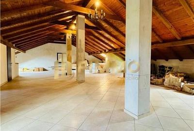 Vila impresionanta | Burdujeni | 16 ari | ID: 1446 - 20