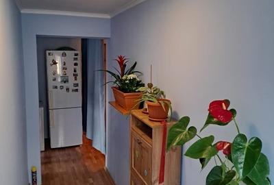 Garsonieră decomandată, mobilată în Rahova - 2