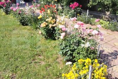 Casa unifamiliala complet mobilata si utilata gata pentru mutare - 5