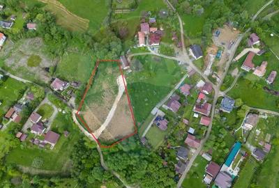 Teren de vanzare cu poten?ial turisticPredelu?, com.Bran, jud.Bra?ov - 6