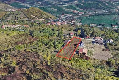 Spațiu comercial, în Central - 6