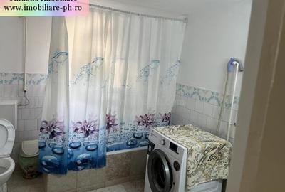 Tihuana Imobiliare:casa de vanzare-Buna Vestire - 19