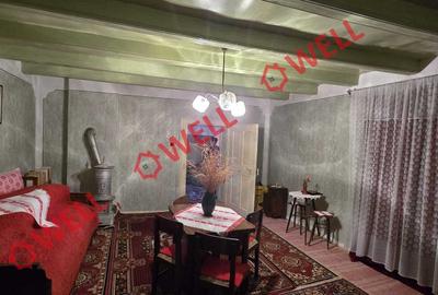 Casă familială de tip conac de vânzare în Aita Mare - 9